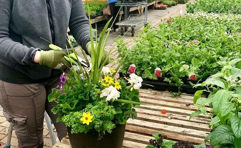 Custom Potting Service