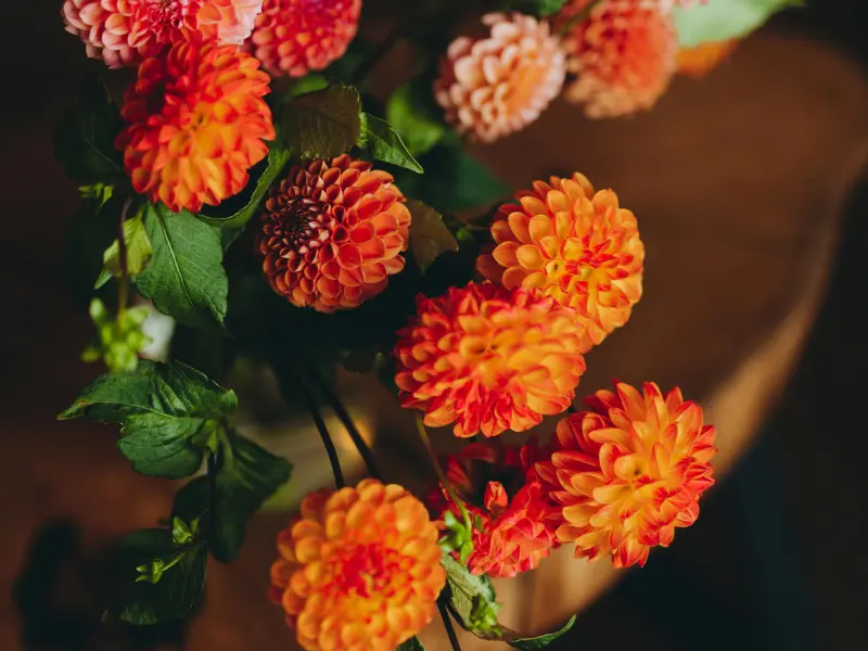 Fall Bouquets