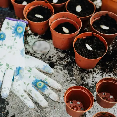 How to Choose the right seeds for your location