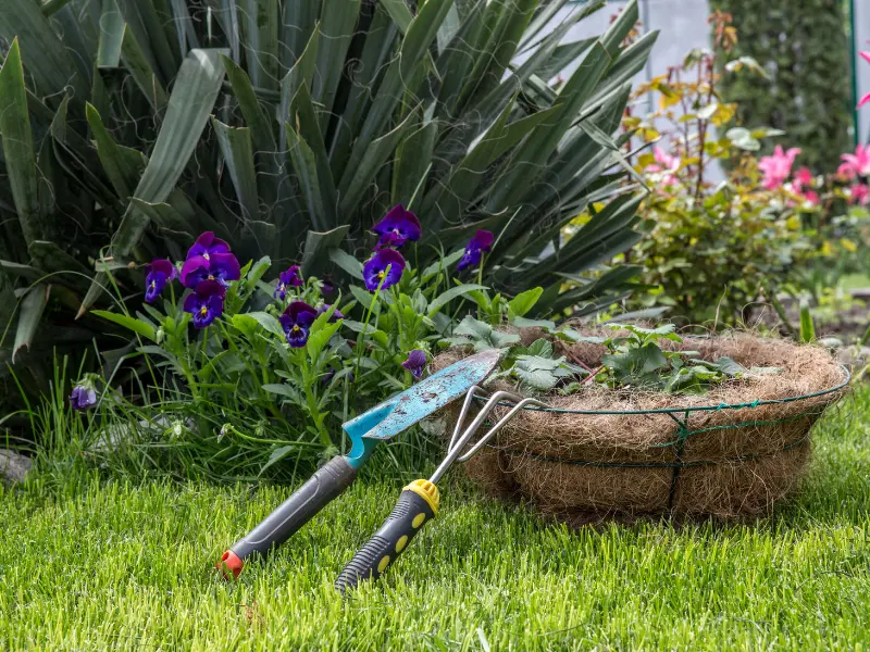 How to Create a Garden in your Newly Built Home?