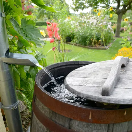 How to Water Your Garden Properly in Summer