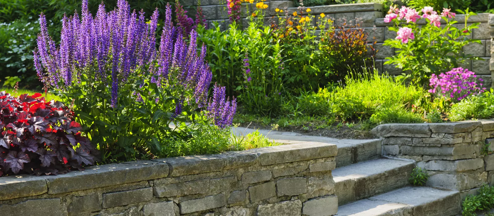 Landscape & Garden Design