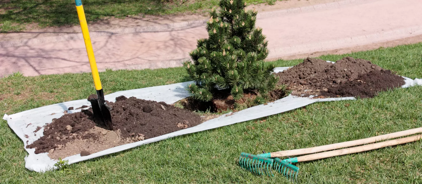 Planting & Delivery Service