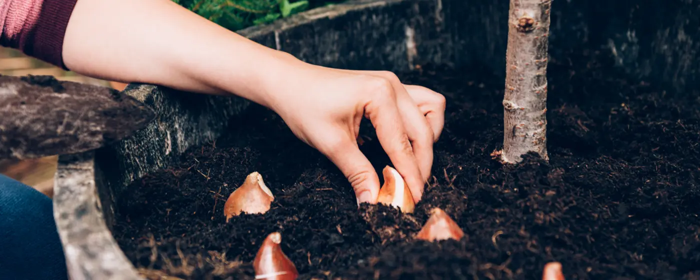 Spring Planting