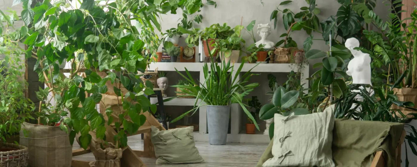 We're closed for the season