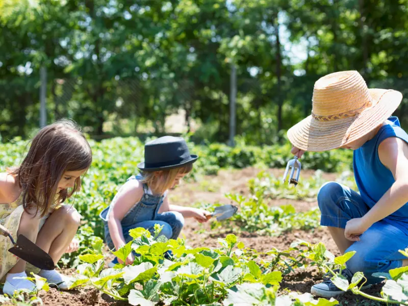 Organic Seed Starting: Tips for Sustainable Gardening