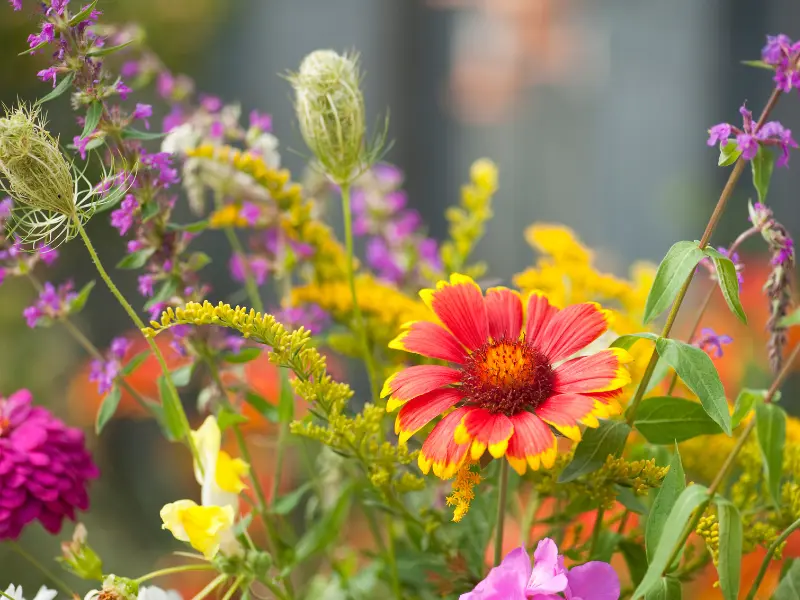 The Lushness of Summer: Embracing Nature's Bounty