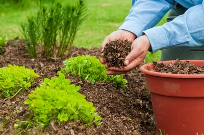 Garden Soil