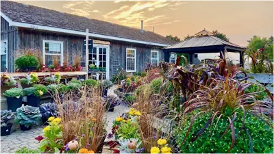 Little Tree Garden Market