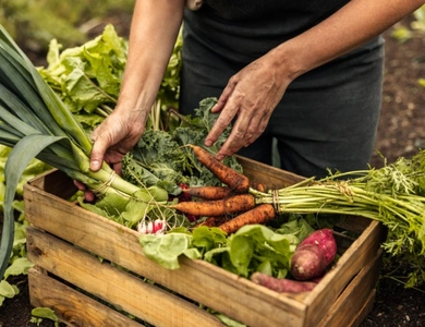 Herbs & Vegetables