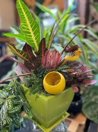 DIY Tropical Summer Fun 6" - image 3