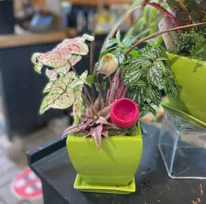 DIY Tropical Summer Fun 6" - image 2