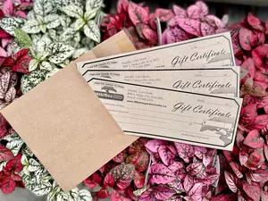 $100