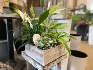 Peace & Thankful Arrangement 9x4 Square Wood Planter