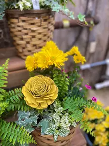 Pot Planted - image 7