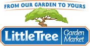 Little Tree Garden Market in Fergus, Ontario